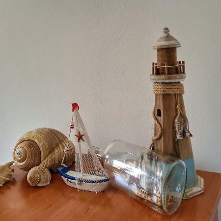 Apartment Manuel Novigrad Istria 외부 사진